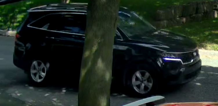 Vehicle picture