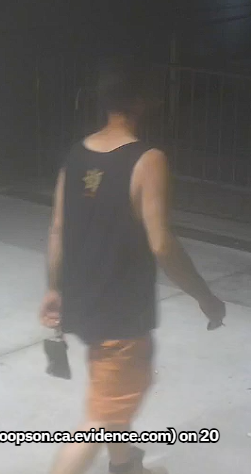 Suspect description