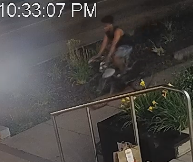 a Black male, approximately 5'9" to 6'0" tall, 20 to 25 years of age, strong accent, wearing a black sleeveless shirt and cut-off jeans, and riding a white bicycle.
