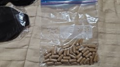 Investigators completed a search warrant at a residence in Mississauga and seized suspected ibogaine, along with several other powders, liquids, and capsules.
