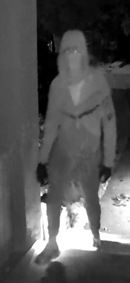 Investigators are looking to identify and speak to this individual in connection to this incident. 