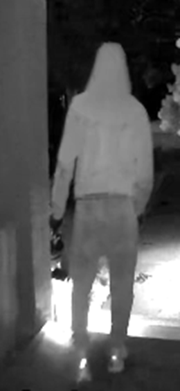 Investigators are looking to identify and speak to this individual in connection to this incident.