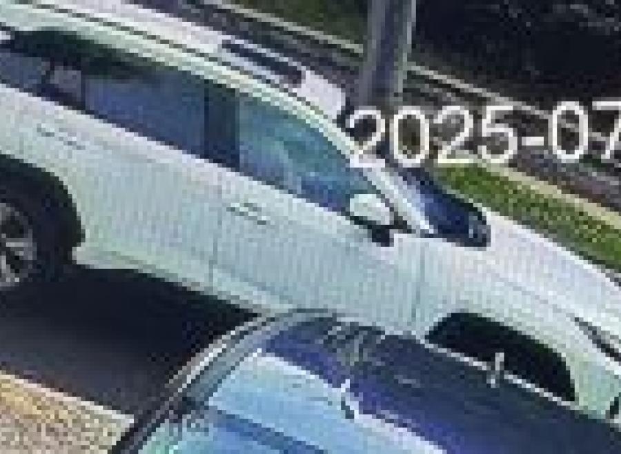 White Toyota Rav4