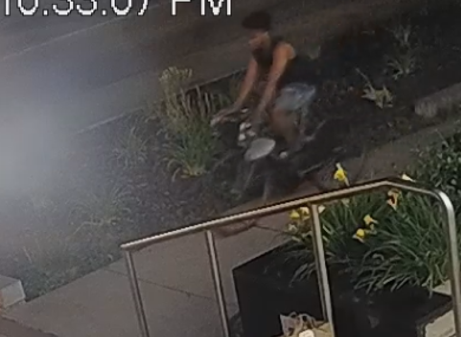 a Black male, approximately 5'9" to 6'0" tall, 20 to 25 years of age, strong accent, wearing a black sleeveless shirt and cut-off jeans, and riding a white bicycle.