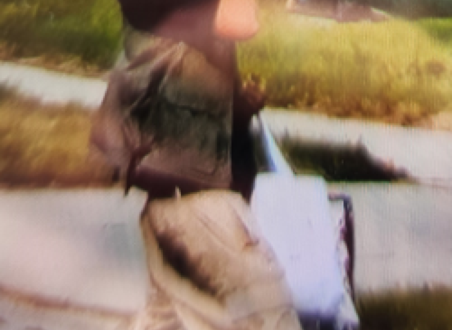 Male, brown skin, 20s  Wearing a blue baseball cap, sunglasses, black t-shirt, khaki vest, beige pants, and white shoes